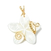 Natural Carved Freshwater Shell Pendants PALLOY-JF03392-1