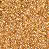 TOHO 11/0 Round Beads SEED-TR11-0103B-2