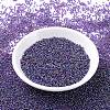 MIYUKI Round Rocailles Beads X-SEED-G007-RR0356-2