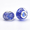 Handmade Luminous Lampwork European Beads LAMP-Q029-35B-2