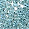 Glass Seed Beads X1-SEED-M011-02A-08-4