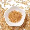 Glass Seed Beads SEED-H002-A-A624-2