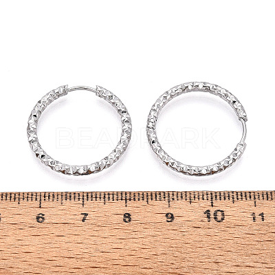 304 Stainless Steel Hoop Earrings STAS-T074-19P-1