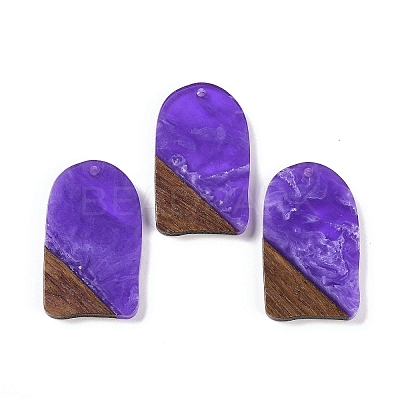 Resin & Wood Pendants WOOD-F015-13D-1