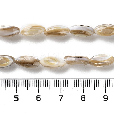 Natural Freshwater Shell Beads Strands SSHEL-B002-13-1