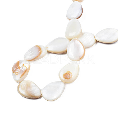 Natural White Shell Beads Strands X-PBB263Y-1-1