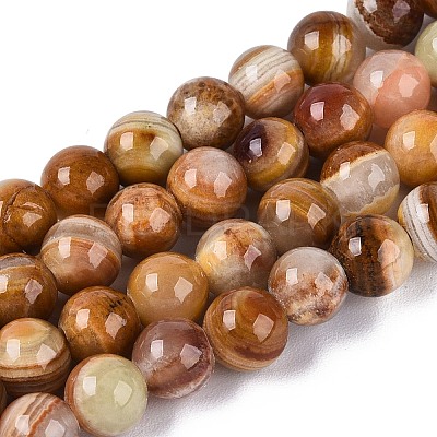 Natural Wood Lace Stone Wooden Jasper Beads Strands G-B128-A04-02-1