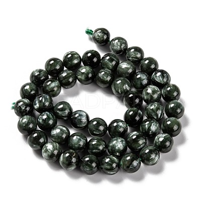 Natural Seraphinite Beads Strands G-E557-22D-1