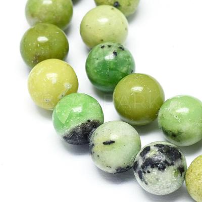 Natural Serpentine Beads Strands G-F576-01-10mm-1
