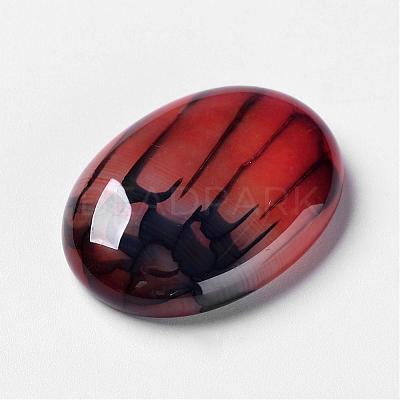 Natural Dragon Veins Cabochons G-F296-07-22x30mm-1