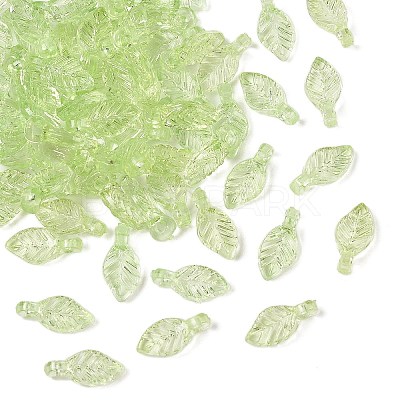 Transparent Acrylic Charms X-TACR-F009-11B-1