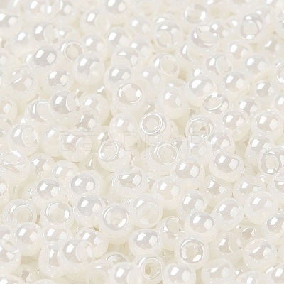 Glass Seed Beads SEED-H002-E-A141-1