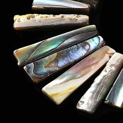 Rectangle Natural Abalone Shell/Paua ShellGraduated Beads Strands SSHEL-P002-05B-1