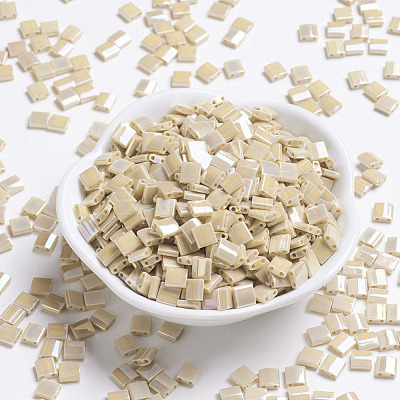 MIYUKI TILA Beads X-SEED-J020-TL488-1