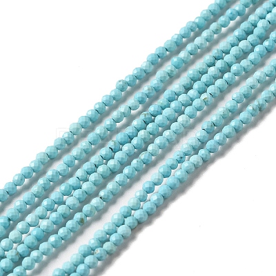 Natural Howlite Beads Strands G-C025-03A-01-1