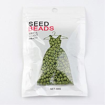 6/0 Baking Paint Glass Seed Beads X-SEED-S003-K9-1