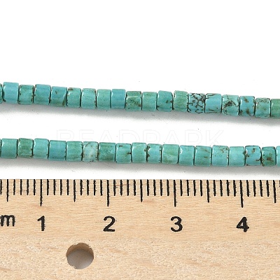 Dyed Natural Magnesite Beads Strands G-M448-C01-01-1