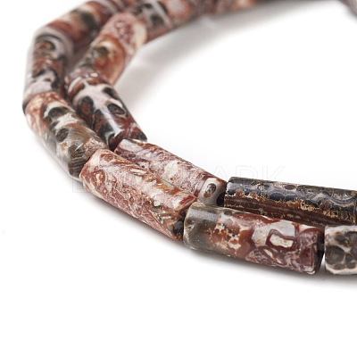 Natural Leopard Skin Jasper Beads Strands G-F247-27-1