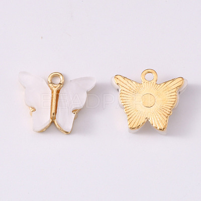Alloy Acrylic Pendants ENAM-R136-01K-1