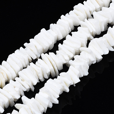 Natural White Shell Beads Strands SSHEL-S266-029-1