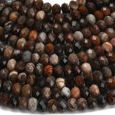 Natural Petrified Wood Beads Strands G-Z111-A50-1