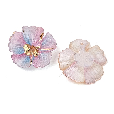 Gradient Color Resin Glitter Pendants RESI-C077-02-1