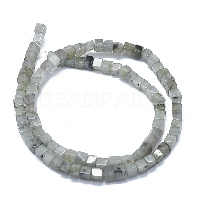 Natural Labradorite Beads Strands G-F631-C08-1