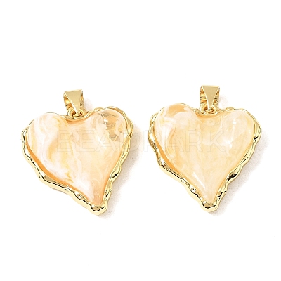 Brass Resin Pendants KK-A296-53A-G01-1