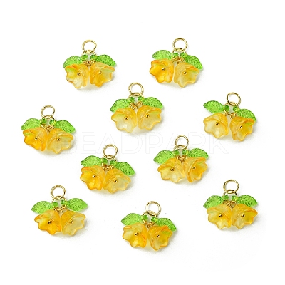 Glass Pendants PALLOY-YW00054-07-1