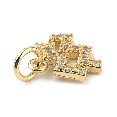 Brass Micro Pave Cubic Zirconia Charms ZIRC-F131-16G-04-1