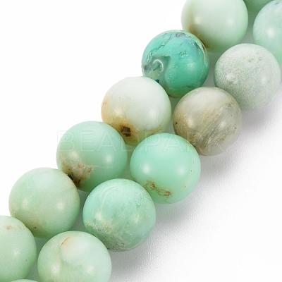 Natural Chrysoprase Beads Strands G-S333-10mm-037-1