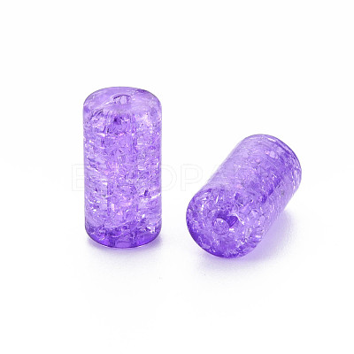 Transparent Crackle Acrylic Beads CACR-S010-02-1