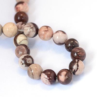 Natural Zebra Jasper Round Bead Strands G-E334-8mm-12-1