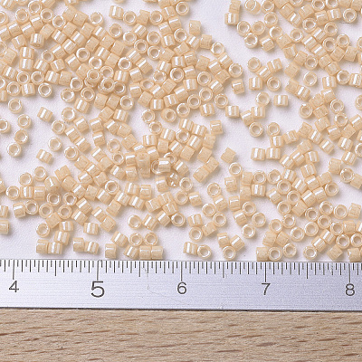 MIYUKI Delica Beads SEED-X0054-DB0205-1