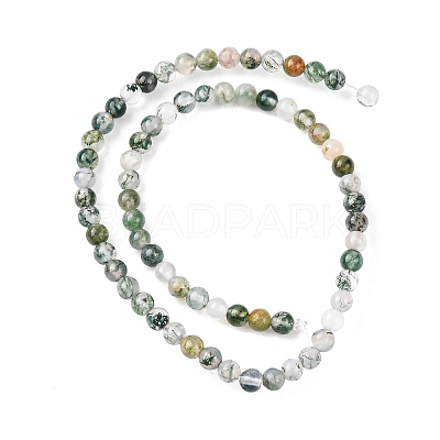 Natural Moss Agate Beads Strands G-Z116-A05-3mm-1