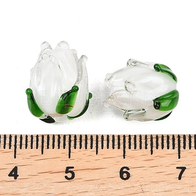 Handmade Lampwork Beads LAMP-K045-01C-1