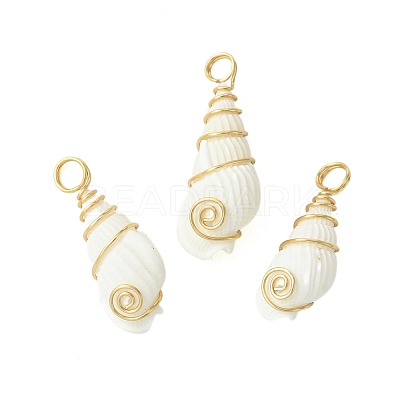 Natural Trumpet Shell Pendants PALLOY-JF02794-01-1