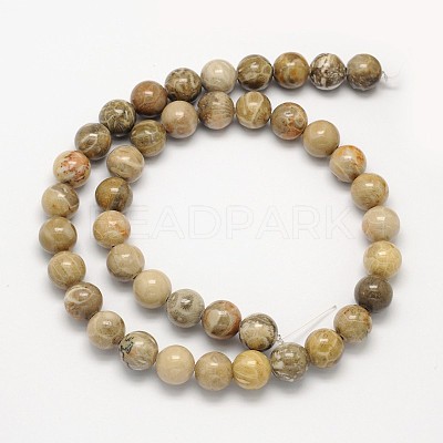 Natural Fossil Coral Round Bead Strands X-G-N0166-05-8mm-1