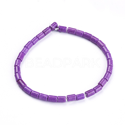 Synthetic Howlite Beads Strands G-F647-12C-1