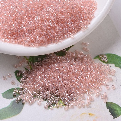 MIYUKI Delica Beads X-SEED-J020-DB0106-1