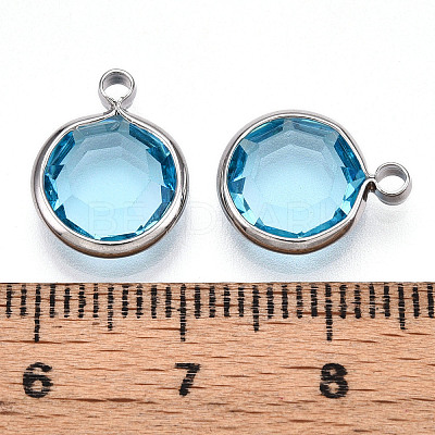 K9 Glass Charms GLAA-T023-37B-04-1