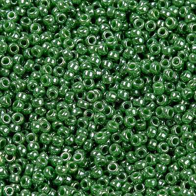 MIYUKI Round Rocailles Beads X-SEED-G009-RR0431-1