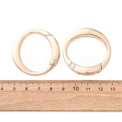 Alloy Spring Ring Clasps AL-B004-01KCG-B-1