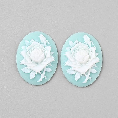 Resin Cabochons LS-CRES-WH0018-02A-1