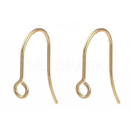 316 Surgical Stainless Steel Earring Hooks STAS-P162-13G-B01-1
