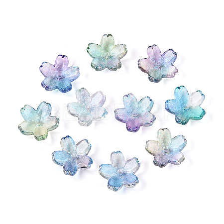 Baking Paint Transparent Glass Bead Caps DGLA-N014-06B-01-1