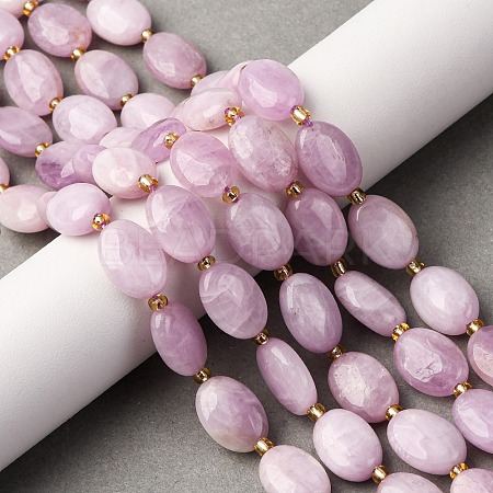 Natural Kunzite Beads Strands G-H005-A15-02-1