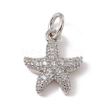 Brass Micro Pave Cubic Zirconia Charms ZIRC-F132-13P-1