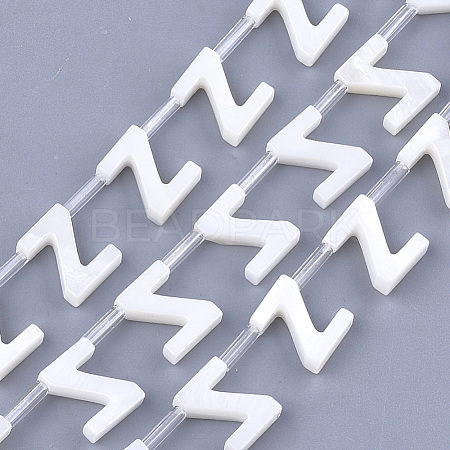 Natural Freshwater Shell Beads SHEL-T012-59Z-1