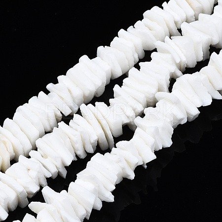 Natural White Shell Beads Strands SSHEL-S266-029-1